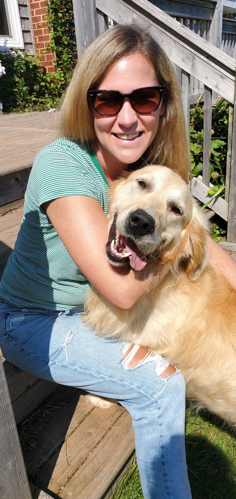 Adult Dogs for Rehoming BACKROAD GOLDEN RETRIEVERS